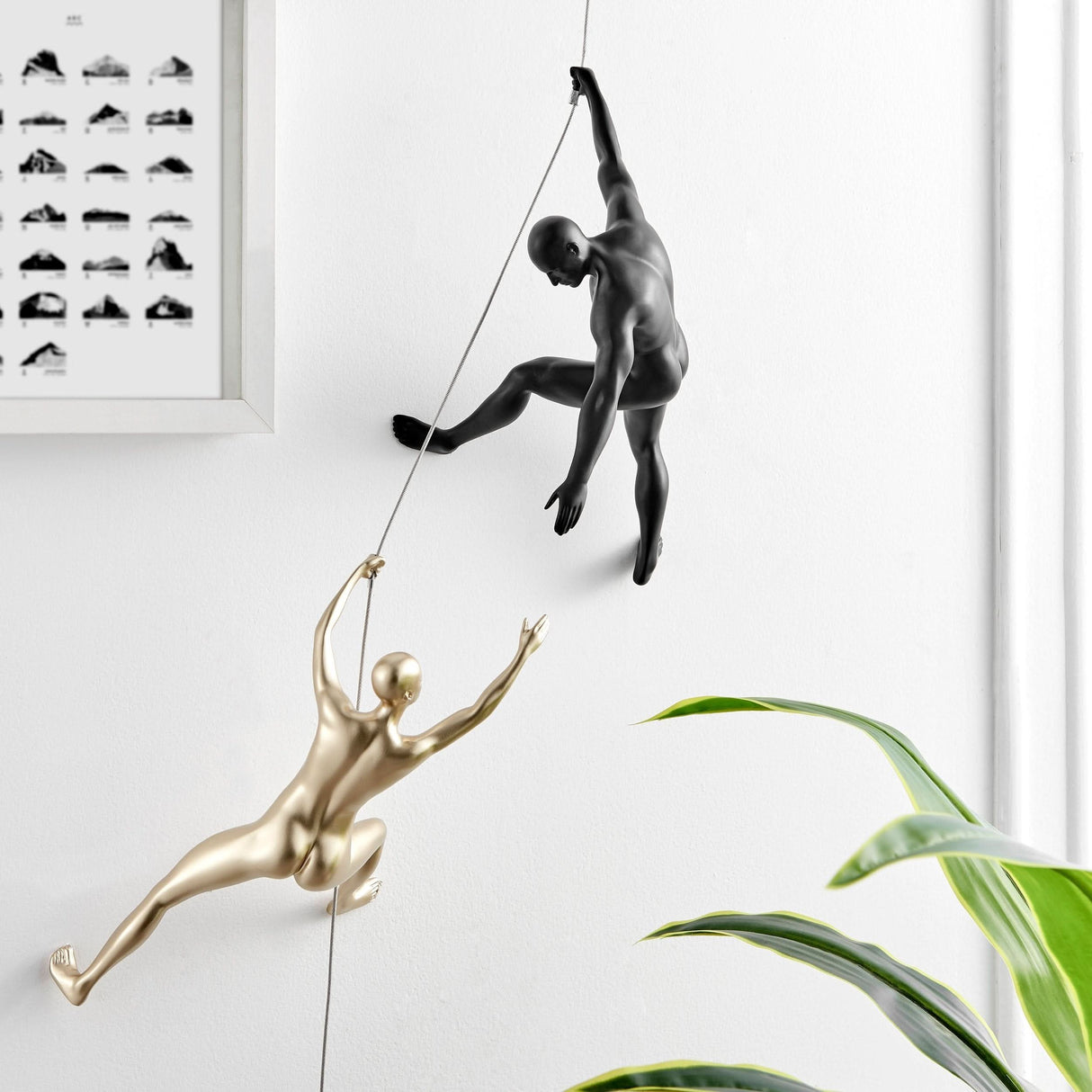 Conjunto de pareja de escalada