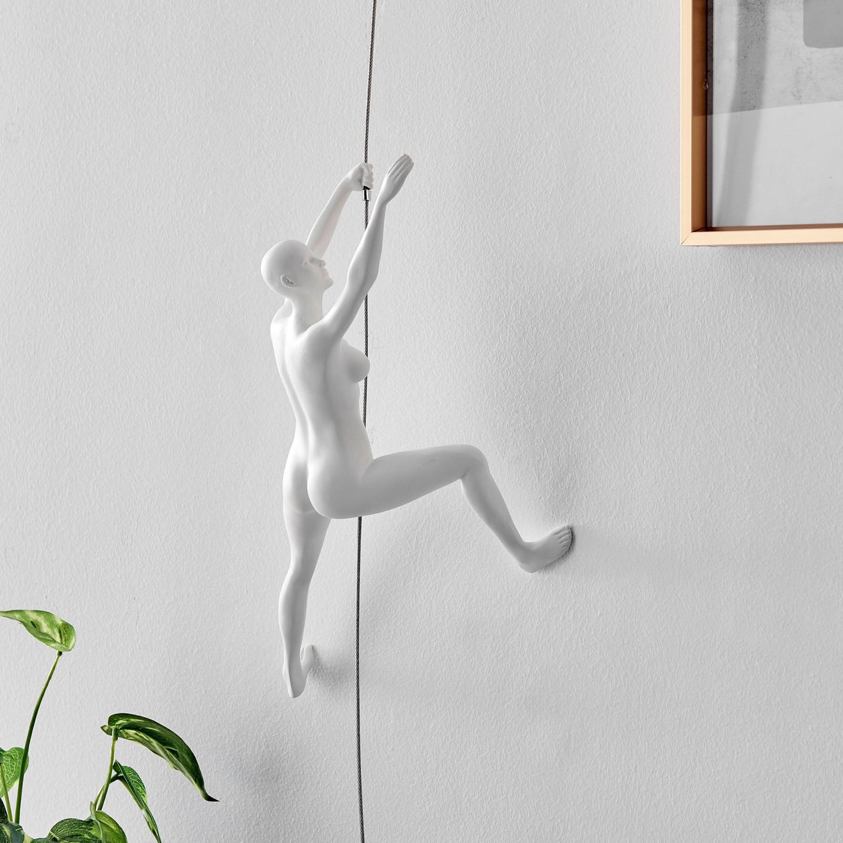 Conjunto de pareja de escalada