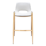 Desi Barstool (Set of 2)