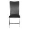 Delfin Dining Chair (Set of 2)